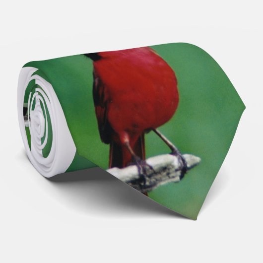 基本的なネクタイ ネクタイ (ロール)