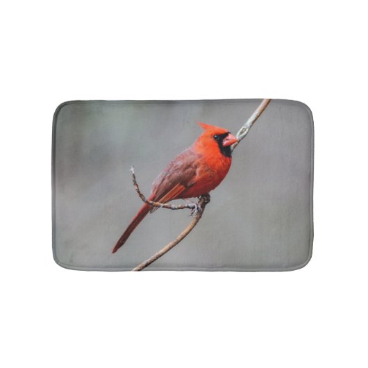 基本的なバス・マット バスマット (正面)