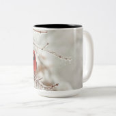 基本的なマグ ツートーンマグカップ (正面右)