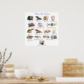 基本的なラットカラー ポスター (キッチン)