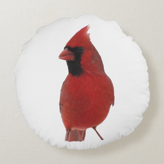 基本的な円形の装飾用クッション ラウンドクッション (裏面)