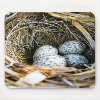 基本的な卵のマウスパッド マウスパッド