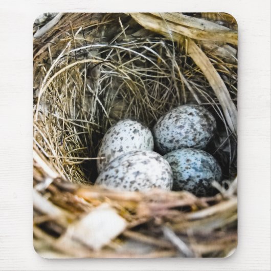 基本的な卵のマウスパッド マウスパッド (正面)