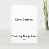 基本的な挨拶状2 シーズンカード (裏面)