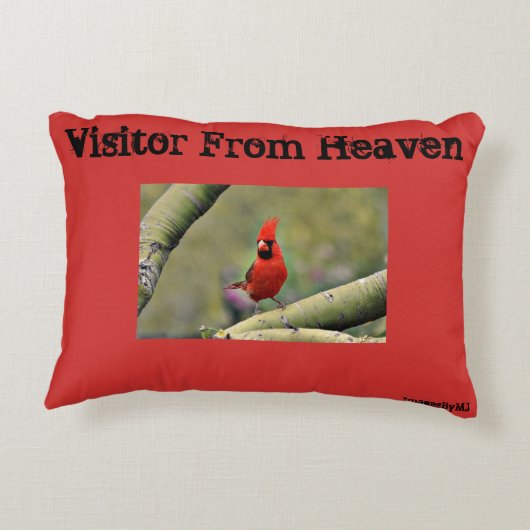 基本的な枕"天国からの訪問者" アクセントクッション (裏面)