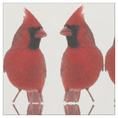 基本的な生地 ファブリック (クローズアップ)