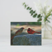 基本的な組の古いリンチバーグ都市墓地 ポストカード (スタンド正面)