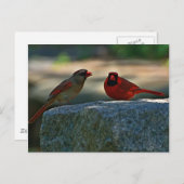 基本的な組の古いリンチバーグ都市墓地 ポストカード (正面/裏面)