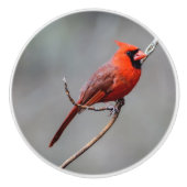 基本的な陶磁器のノブ セラミックノブ (正面)