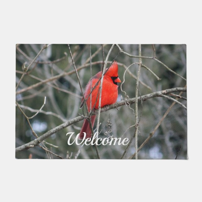 基本的な頂上 ドアマット (正面)