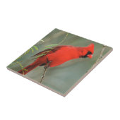 基本的な鳥の写真 タイル (側面)