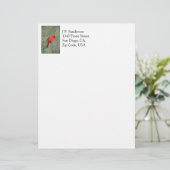 基本的な鳥の写真 レターヘッド (スタンド正面)