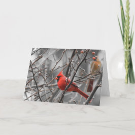 基本的な鳥、カード カード