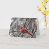 基本的な鳥、カード カード (黄色い花)