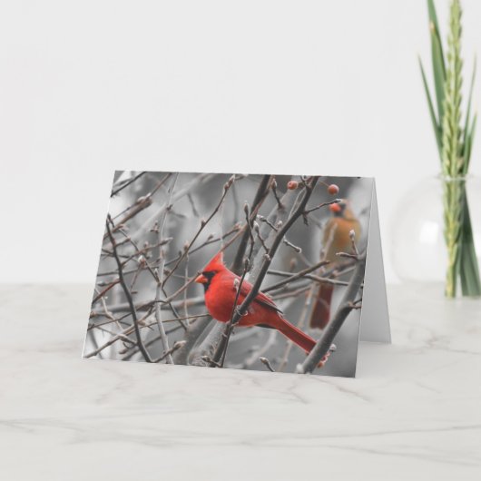 基本的な鳥、カード カード (正面)