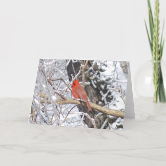 基本的な「nの氷 シーズンカード