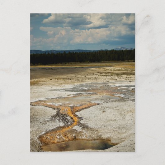 基絵を描葉書 ポストカード (正面)