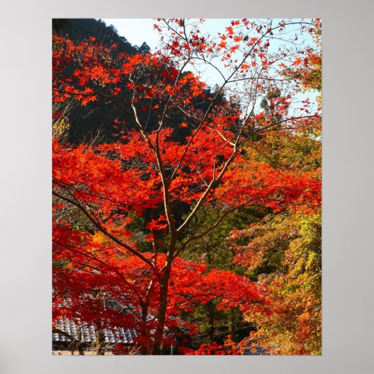 埼玉県 ポスター (正面)