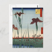 堀切アイリスガーデン(堀切の花菖蒲) ポストカード (正面/裏面)