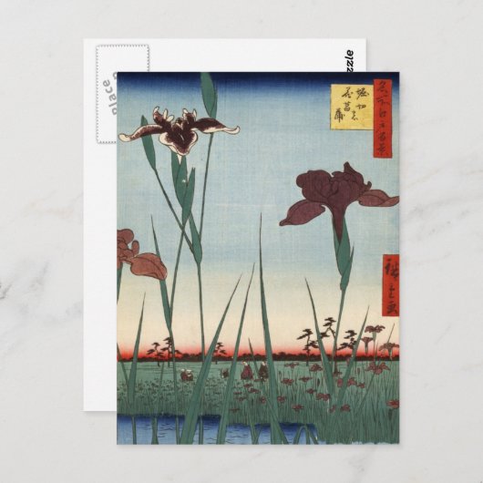 堀切アイリスガーデン(堀切の花菖蒲) ポストカード (正面/裏面)