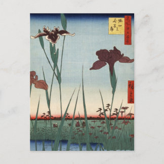 堀切アイリスガーデン(堀切の花菖蒲) ポストカード