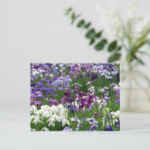 堀切アイリス園：東京 ポストカード (スタンド正面)