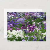堀切アイリス園：東京 ポストカード (正面/裏面)