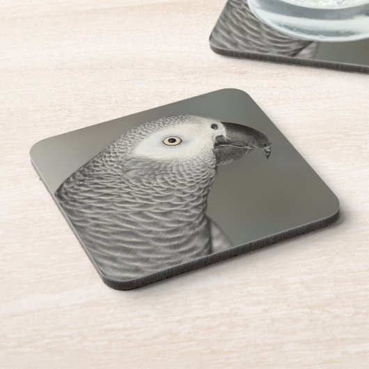 堂々たるアフリカグレイ コースター (左側)