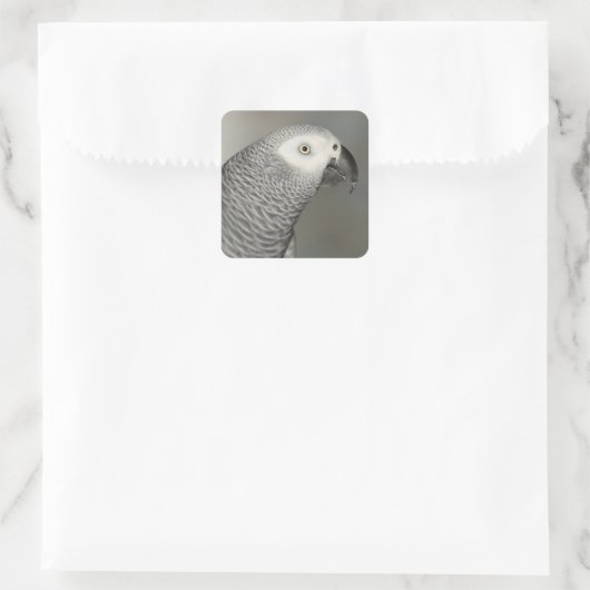 堂々たるアフリカグレイ スクエアシール (バッグ)