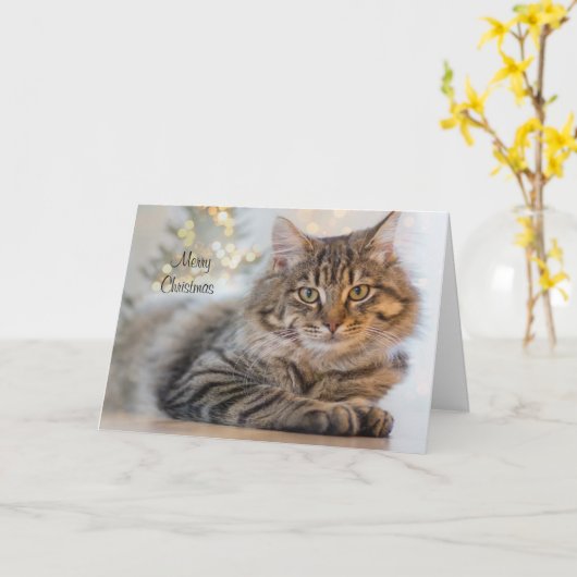 堂々たる猫ペットパーソナライズされたクリスマスカード カード (黄色い花)