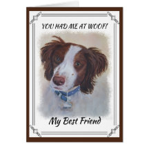 堂々としたオーバーンセッターミックス