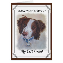 堂々としたオーバーンセッターミックス