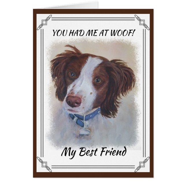 堂々としたオーバーンセッターミックス (正面)