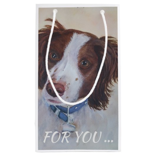 堂々としたオーバーンセッターミックス スモールペーパーバッグ (裏面)