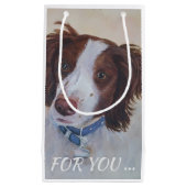 堂々としたオーバーンセッターミックス スモールペーパーバッグ (正面)