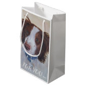 堂々としたオーバーンセッターミックス スモールペーパーバッグ (裏面アングル)