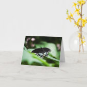 堂々とした外観のカード カード (黄色い花)