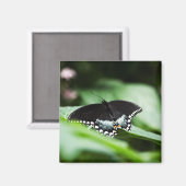 堂々とした外観の磁石 マグネット (正面/裏面)