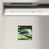 堂々とした外観の磁石 マグネット (インサイチュ (食洗機))