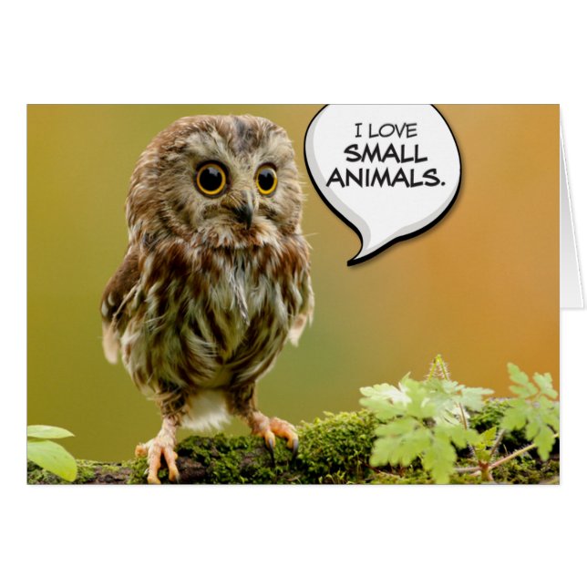 "堅いベビーのフクロウ"は昼食をしよう (正面横)