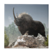 堅い氷河期 タイル (正面)