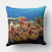 堅い珊瑚、柔らかい珊瑚の景色礁 クッション (裏面)