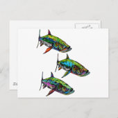 堅実な学校 ポストカード (正面/裏面)