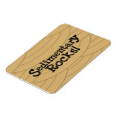 堆積岩! マグネット (左側)