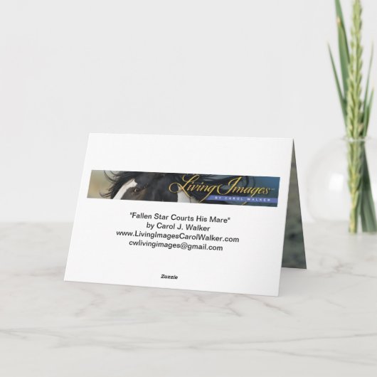 堕ちた星と彼の牝馬ワイルドホースのグリーティングカード サンキューカード (裏面)