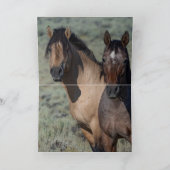 堕ちた星と彼の牝馬ワイルドホースのグリーティングカード サンキューカード (内部)