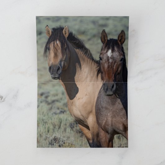 堕ちた星と彼の牝馬ワイルドホースのグリーティングカード サンキューカード (内部)