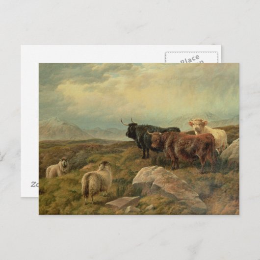 報復 ポストカード (正面/裏面)