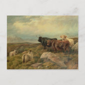 報復 ポストカード (正面)