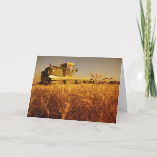 報酬の取得 シーズンカード